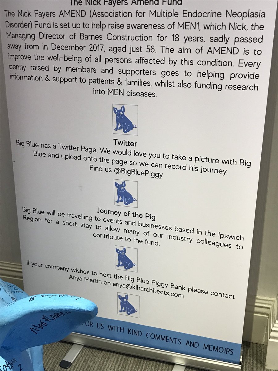 divera1974's tweet photo. Fascinated with the @BigBluePiggy at the offices of @Prettys_Law today and the work locally of @klharchitects to raise funds for the @AmendInfo https://t.co/IU8y3MnQGZ