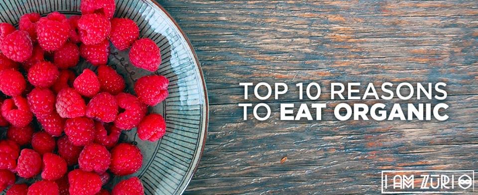Whether you’re avoiding pesticides, looking for a healthier diet, or concerned about the environment there is no shortage of reasons to eat organic foods. https://t.co/gL8JZcFL1t #iamfood #iamhealth #goorganic #gethealthy https://t.co/qVHNWLcrsW