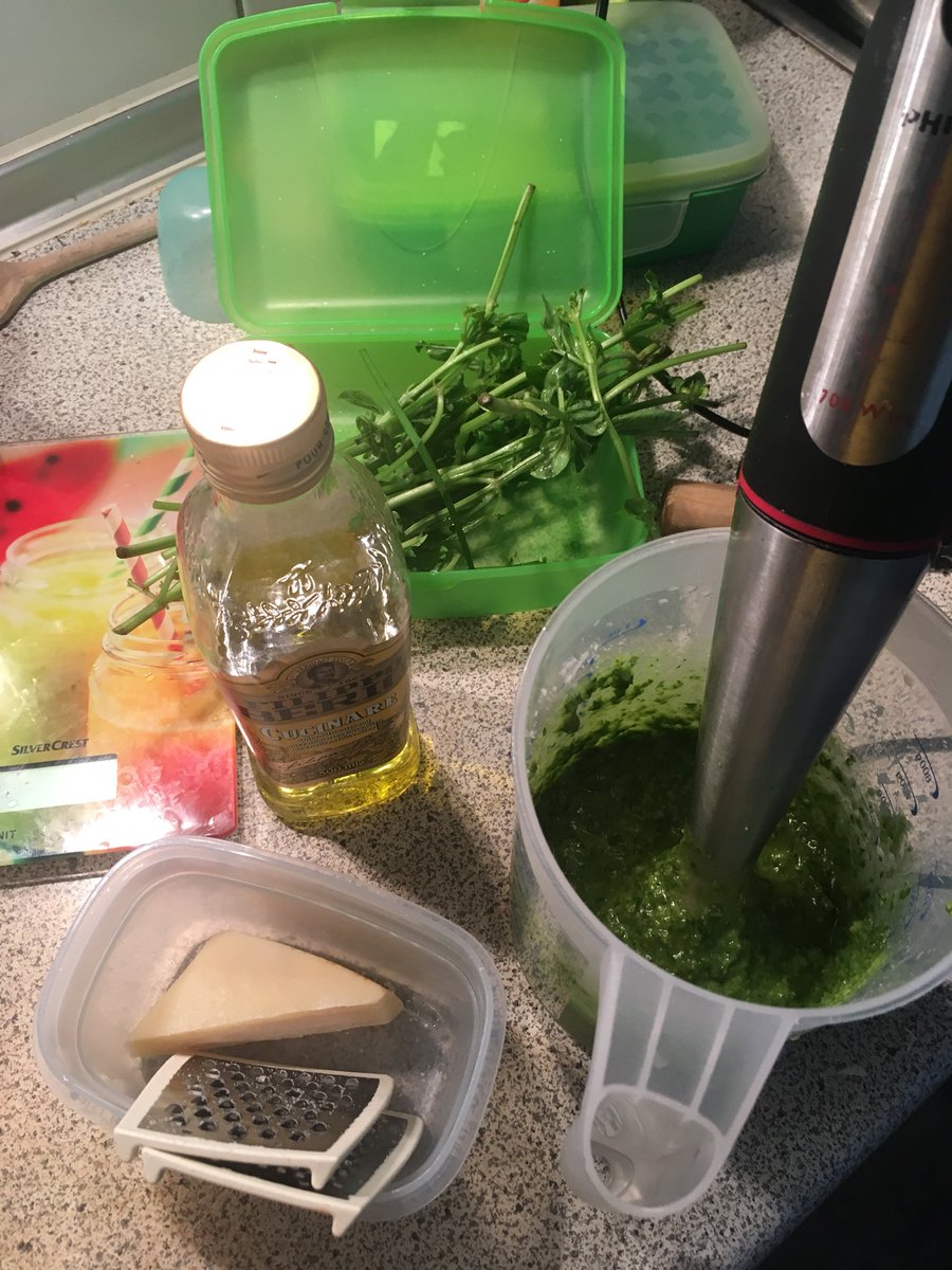 KGAVorsitzender's tweet image. #pestotime