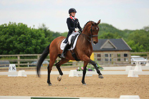 7 ways to help you get the most from a training session with your horse dlvr.it/QhzjYj