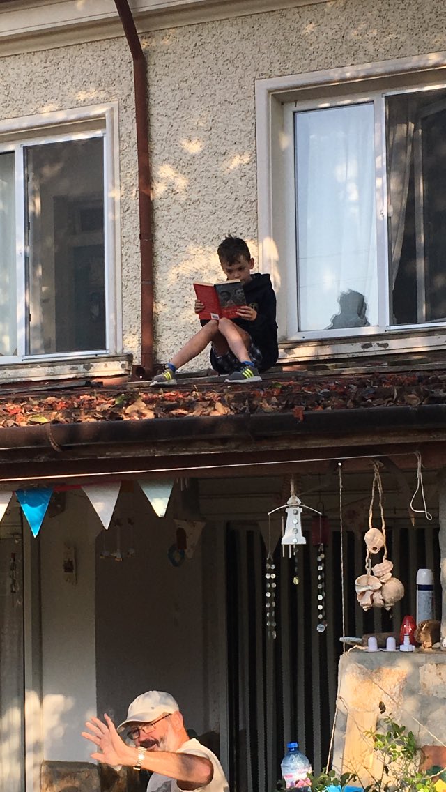 AlysonSpivey's tweet photo. Frankie Robinson 7G. This is Frankie reading his 5th and 6th book up a tree on a roof and on the car. #makinghistorythroughreading #cvhs #summerholidays2018 https://t.co/oIvR6HI3Dm