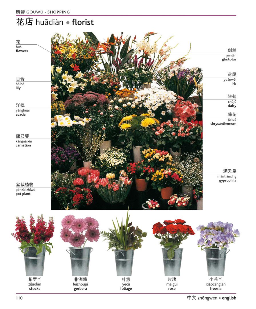 MyChineseRU's tweet photo. Визуальный словарь 
#mychinese #chinese #китайский #китайскийязык #китайскийонлайн #иероглифы https://t.co/SUppdXG90y