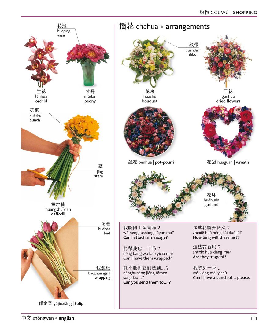 MyChineseRU's tweet photo. Визуальный словарь 
#mychinese #chinese #китайский #китайскийязык #китайскийонлайн #иероглифы https://t.co/SUppdXG90y