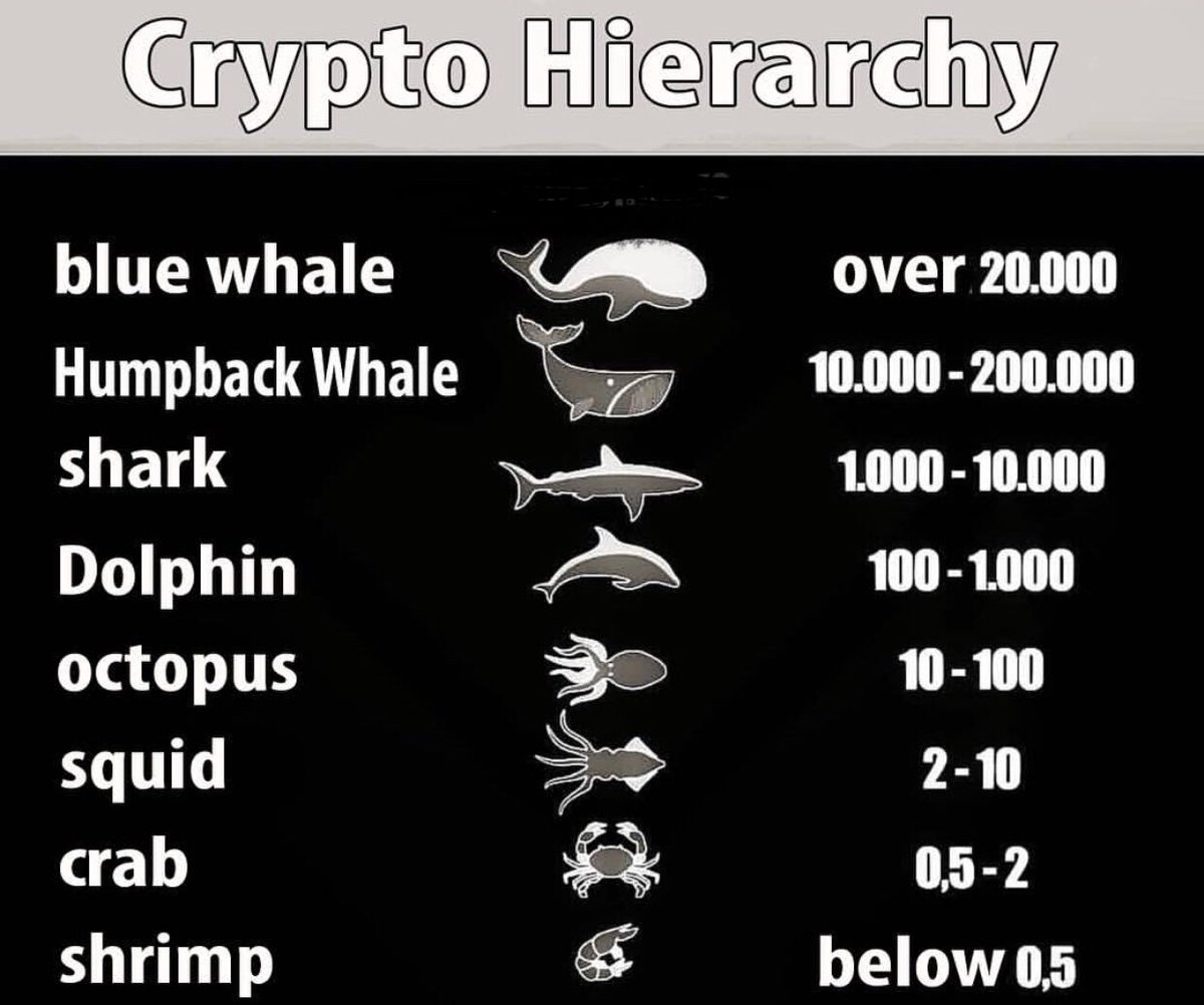 Eljaboom's tweet photo. Which one are you? 🤔 
#Crypto #Cryptos #Bitcoin https://t.co/jRldnpW3dC
