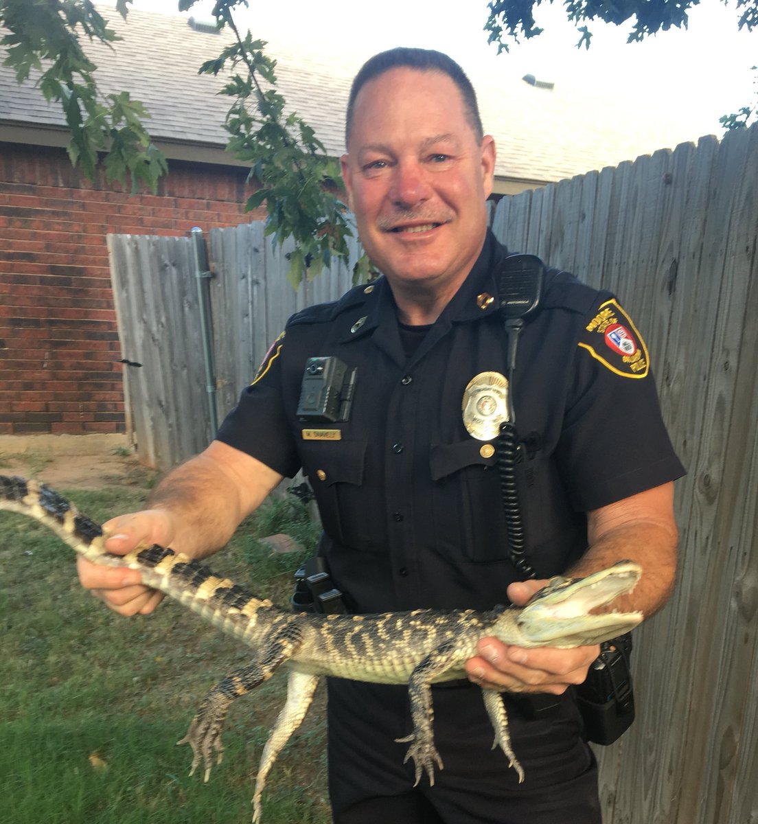 SarahSkfor's tweet photo. Check it out!  Moore police officer caught an alligator! https://t.co/YuDEhYFDZL