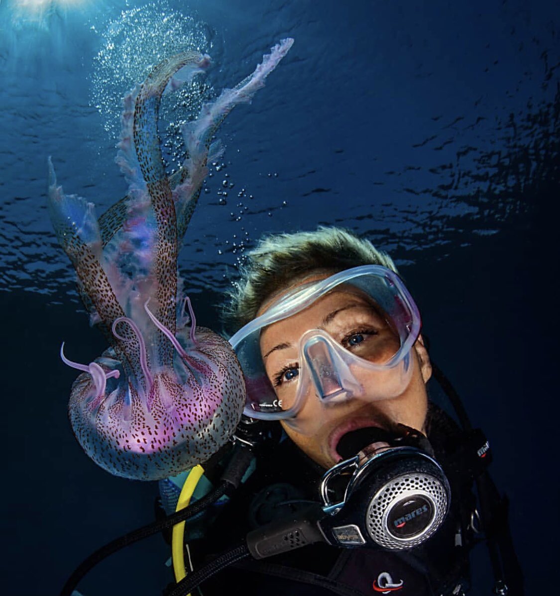 ScubaDiveLDN's tweet photo. Another cracking selfie with a colourful a jellyfish 👌🏼

📷: @ ivana.o.k (IG)

#ScubaDiveLondon #ScubaDive #Scuba #PADI #London #UKDiving #Ocean #LearnToDive #UnderWater #DiveLife #Travel #Nature #SeaLife #ProjectAware #UnderwaterPhotography #MarineLife #UnderTheSea #JellyFish https://t.co/To99CCE1PO