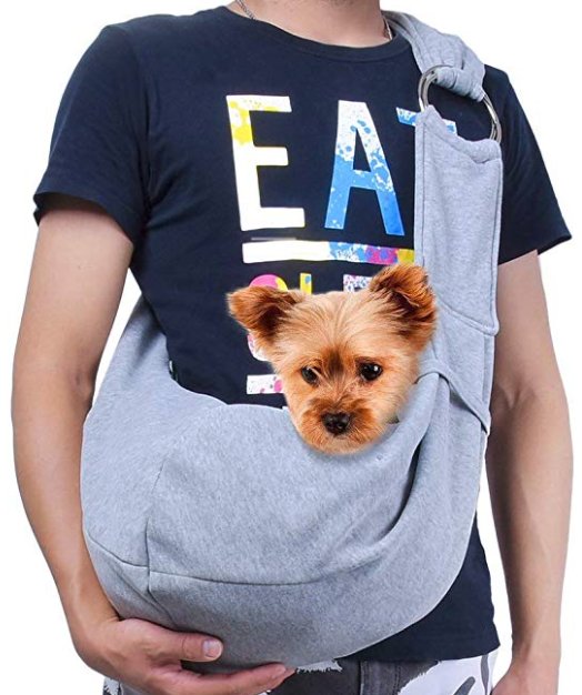 yorkie carrier