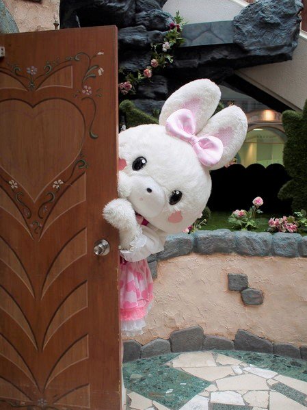 ミミちゃん🎀🐰 久しぶりに会えた気がする✨ ドア開けてとてもかわいい