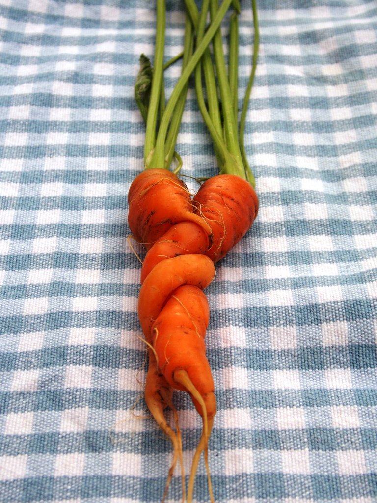 Tim & Véronique tweet media