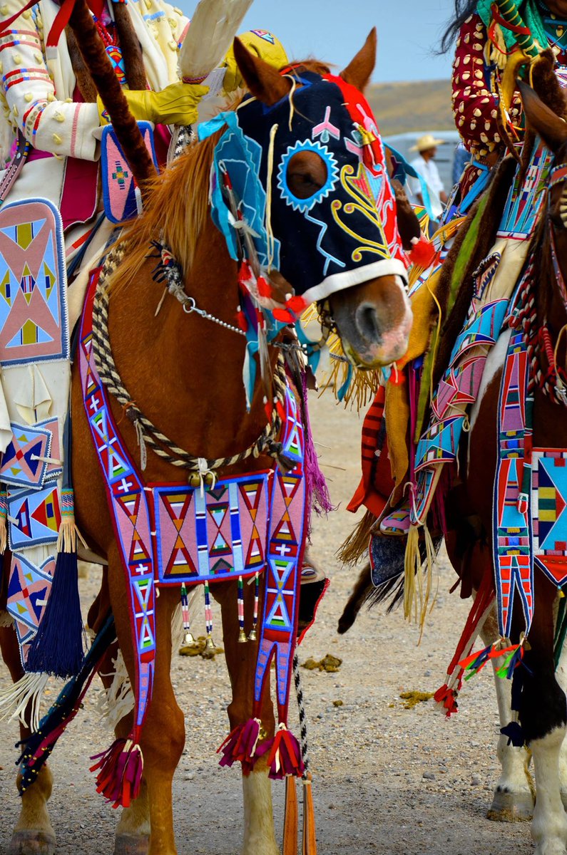 One Spirit tweet media