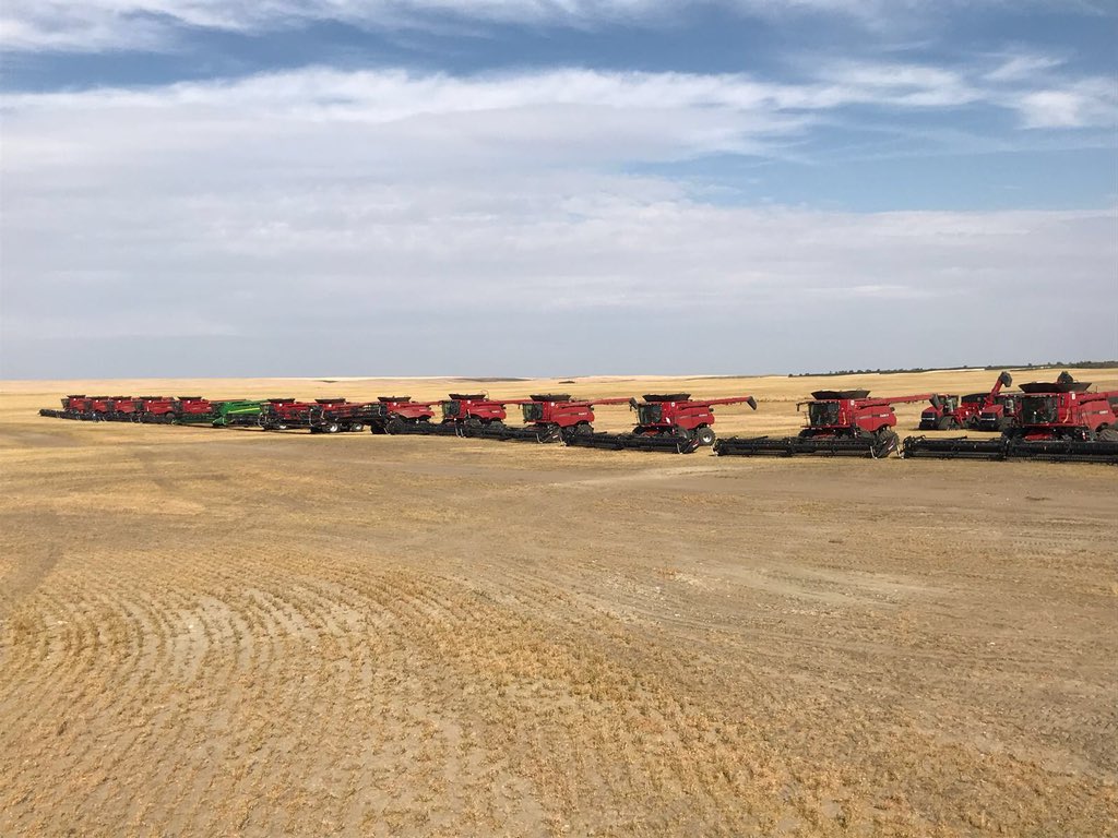 monettefarms's tweet photo. My OCD is being put to the test with a different colour this morning at MFS as we fire up!! Happy combining team as we enter the home stretch!! https://t.co/MPKRXL4ovk