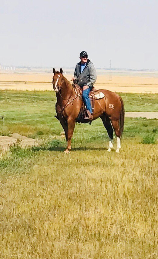 George Shelswell tweet media