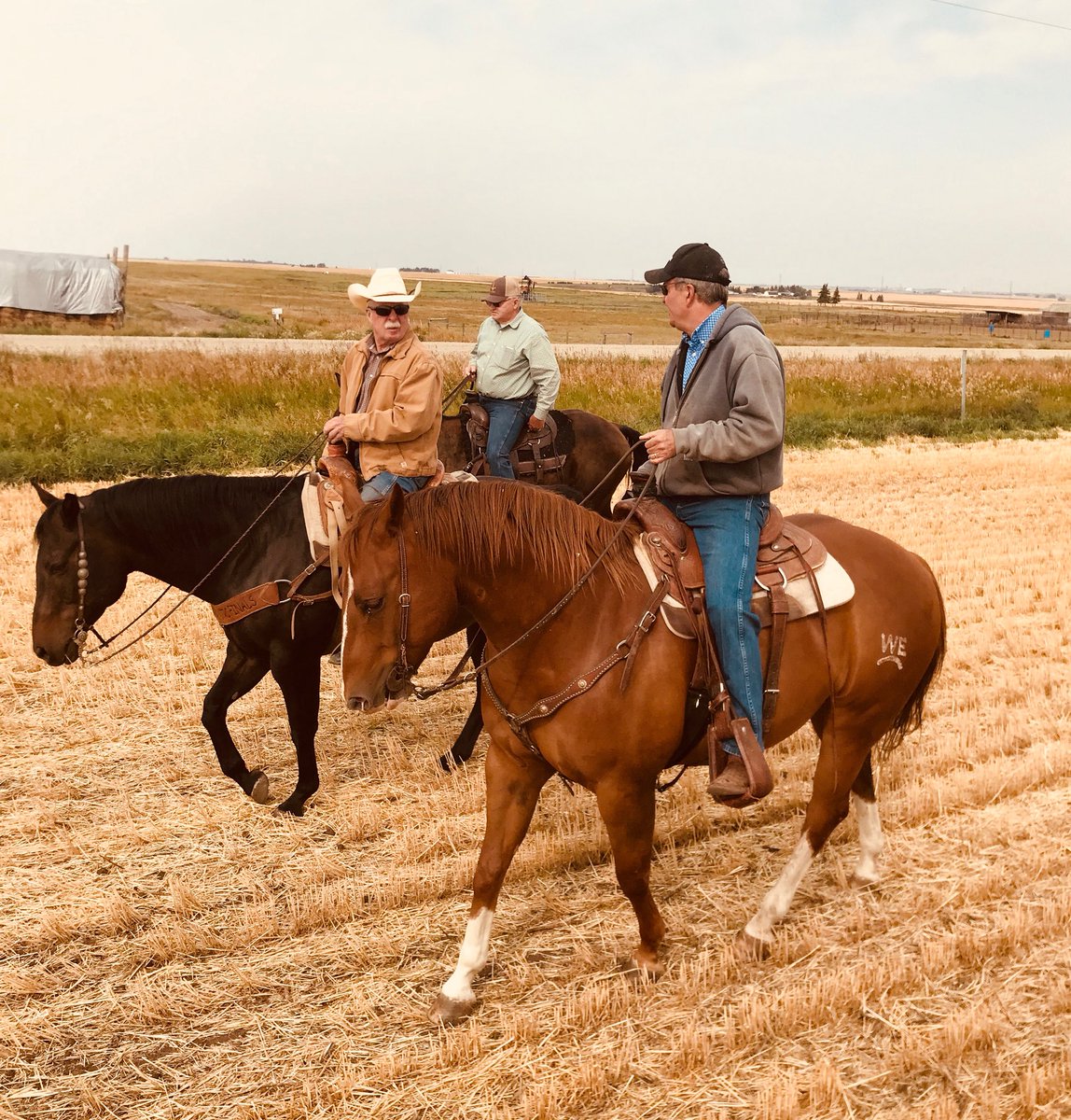 George Shelswell tweet media