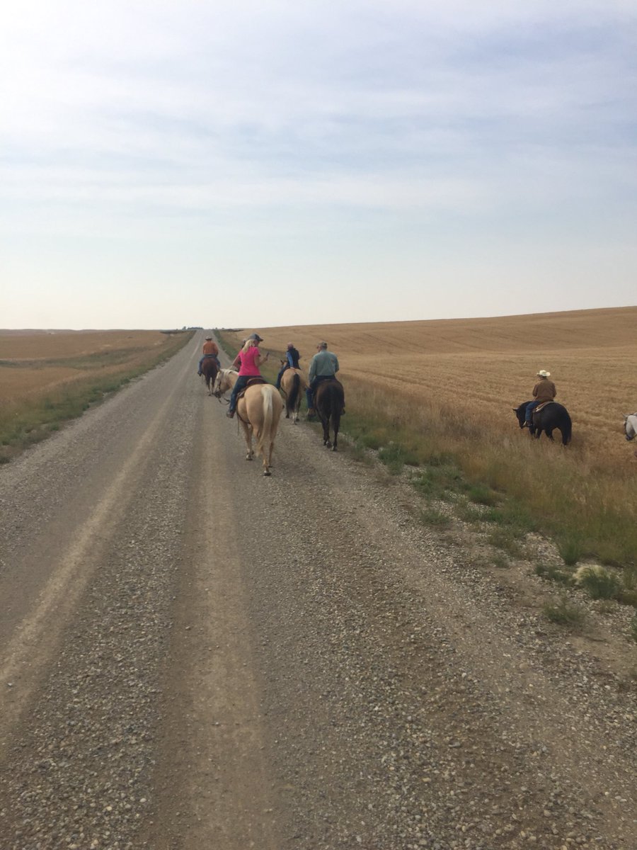 George Shelswell tweet media