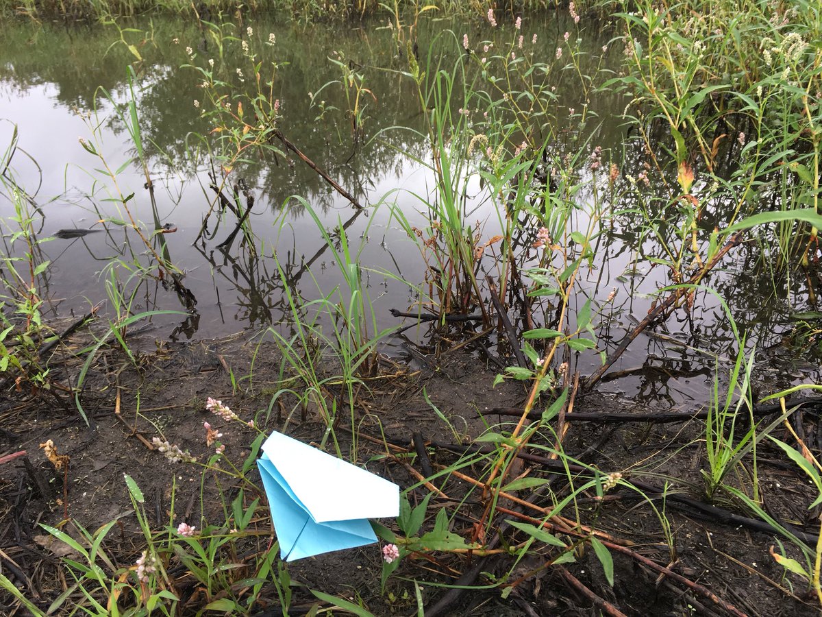 TheOrigamiFrogs's tweet photo. #OrigamiFrogs https://t.co/8pk11uS4Tf