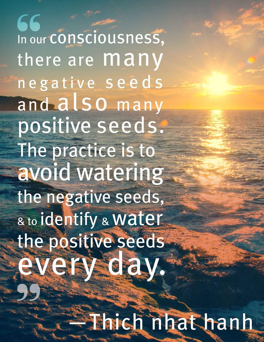 Flowers77777777's tweet photo. 🙏#PositiveSeeds https://t.co/4U5ohkeVYD