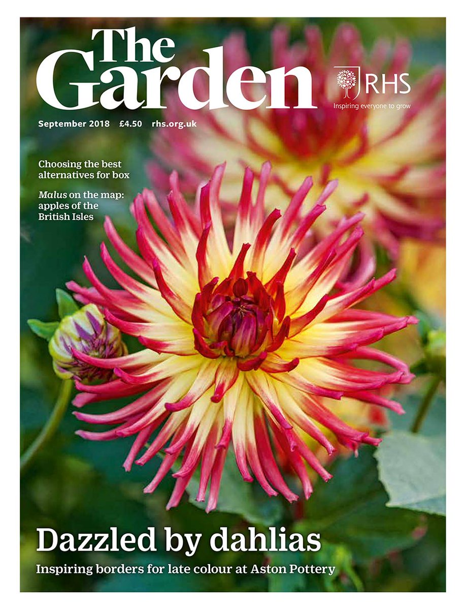 Great to spot 'The Penumbra' garden featured in <a href="/The_RHS/">The RHS</a> magazine this month, take home inspiration #rust #gardendesign #gardening #plantsforpollinators #RHSTatton #beesgardens #ferns <a href="/TheStrokeAssoc/">Stroke Association</a> @CEDNaturalStone <a href="/_trowelandfork/">Ruth & James Walker</a> <a href="/Dyofix/">Dyofix Pond Colours</a> <a href="/DalefootCompost/">Dalefoot Composts</a> @Foxcroftland