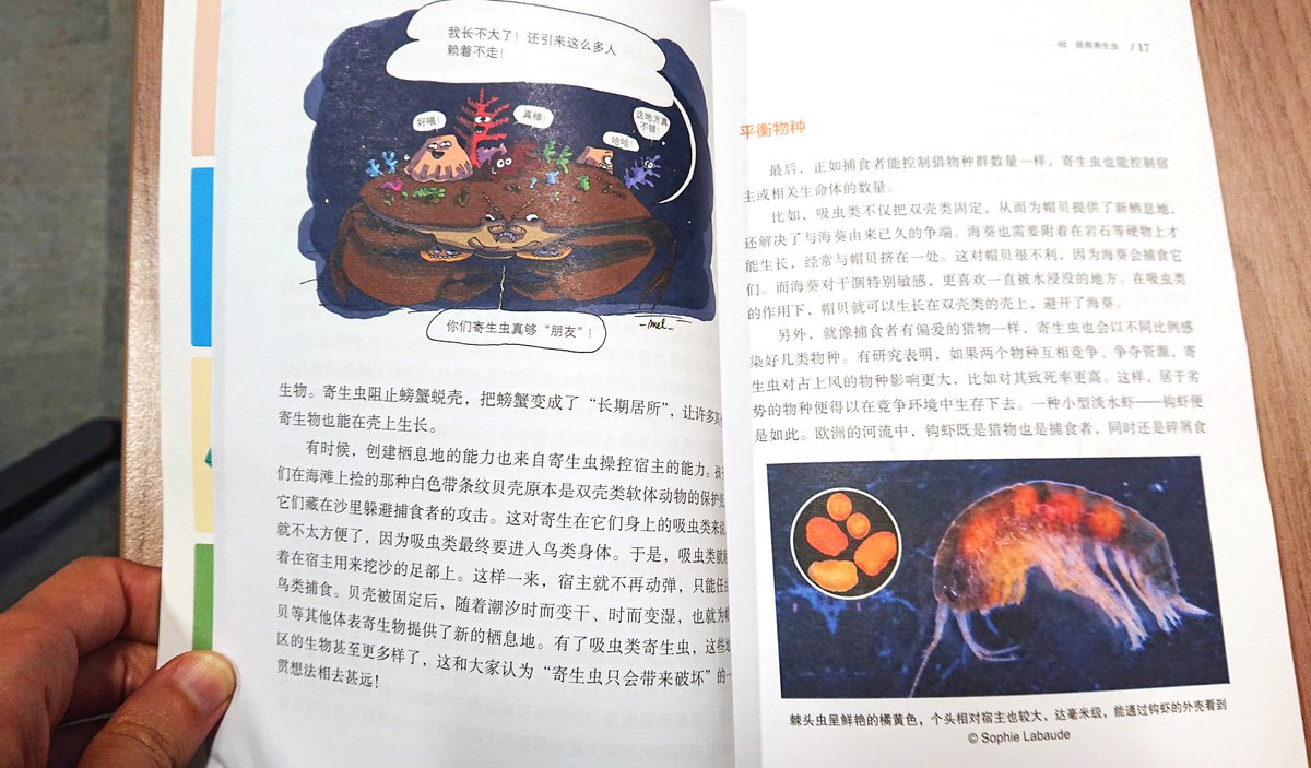 BrousseNathalie's tweet photo. Voici l'édition chinoise de "La science à contrepied" (et si vous n'avez pas encore la version française dans votre bibliothèque : https://t.co/BKDT7B3H9n). Mais où est passée l'otarie ? @cafe_sciences https://t.co/s1WyW5y074