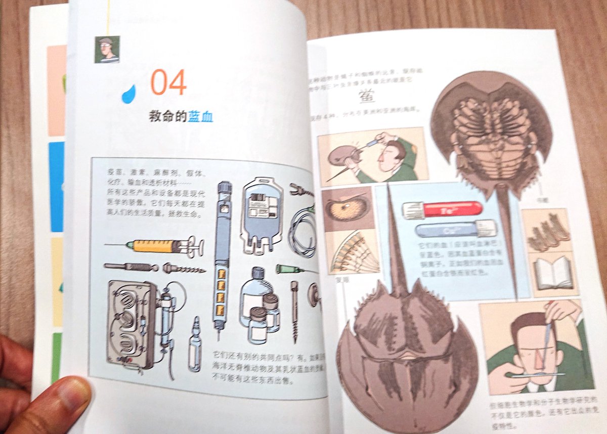 BrousseNathalie's tweet photo. Voici l'édition chinoise de "La science à contrepied" (et si vous n'avez pas encore la version française dans votre bibliothèque : https://t.co/BKDT7B3H9n). Mais où est passée l'otarie ? @cafe_sciences https://t.co/s1WyW5y074