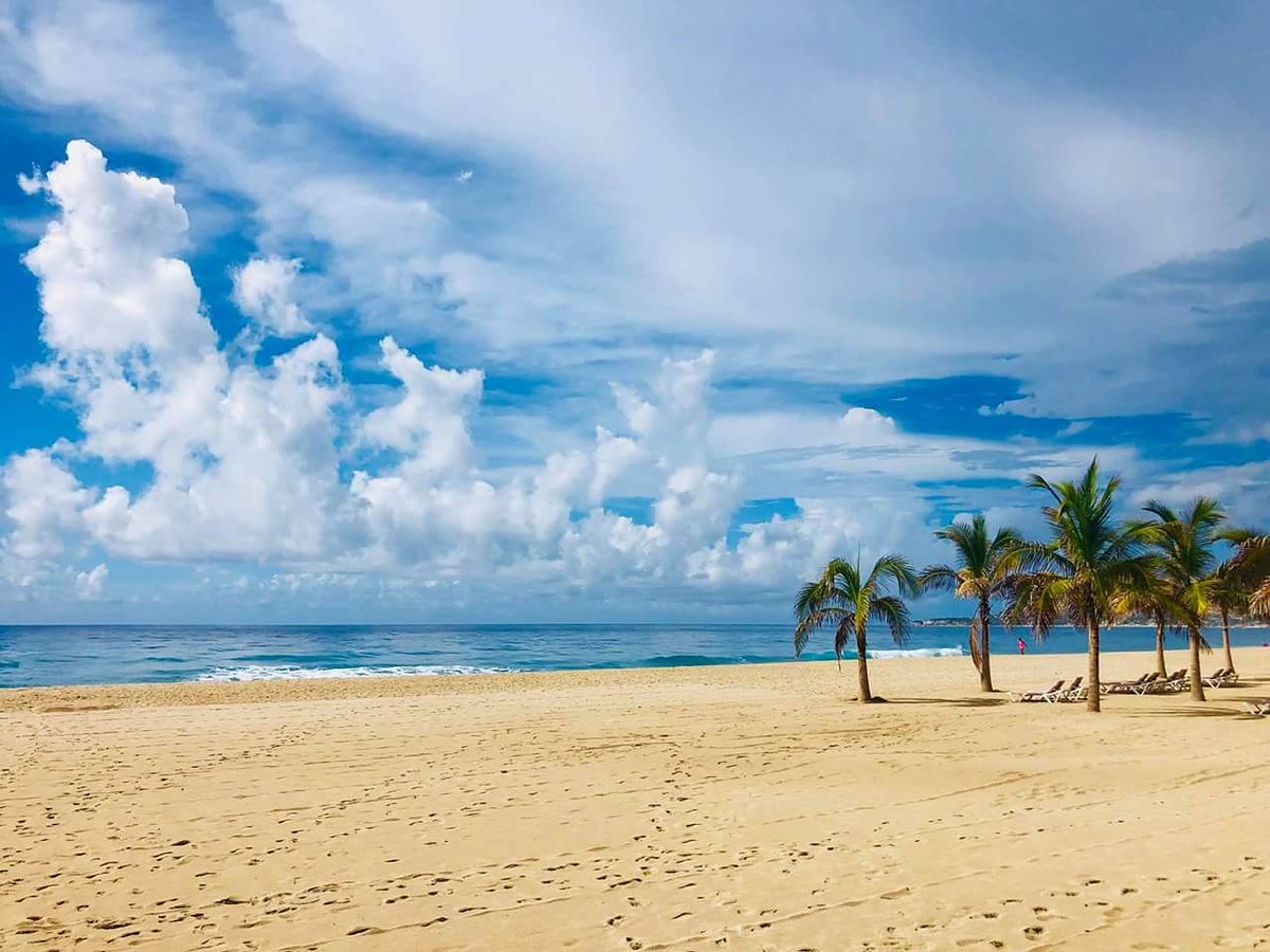 BarceloLosCabos's tweet photo. Can you imagine starting the week here?
Happy Monday everyone! ๐๐ด๐
๐ธ via Facebook by Moisรฉs Batรบn
#BarceloExperience #LosCabos #Mexico #mexicodestination #Cabo #cabomexico #beachfront #morningviewsโ๏ธ #morningmotivation #mondaymotivation #premiumexperience #premiumlevel https://t.co/wTq0MXRdTi