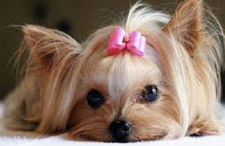 We open today for 3 pm. <a href="/burritolounge/">El Rey</a> opens at 4 pm #laborday