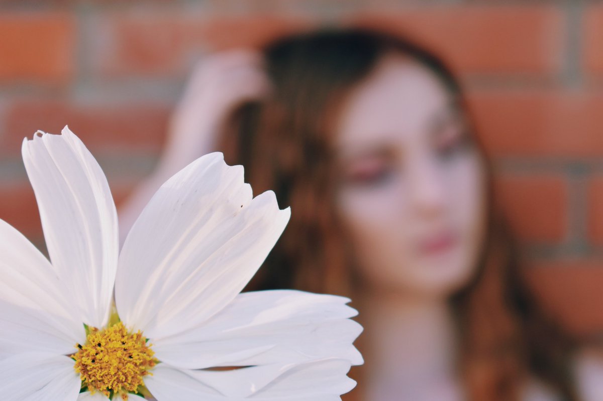 TrinityKieran's tweet photo. 🌸🌸🌸🌸 https://t.co/IJ7fFS3WHl