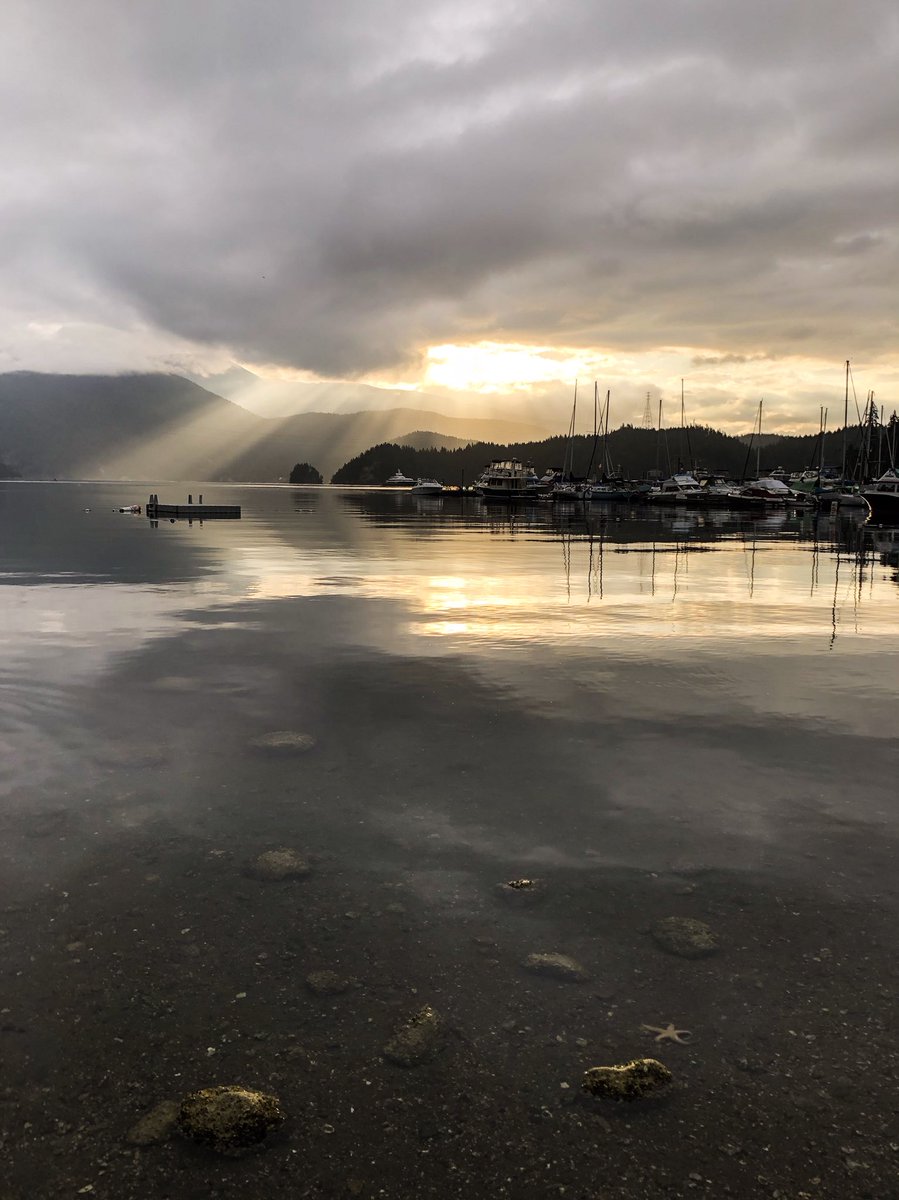 SonikaArora604's tweet photo. Beautiful morning in Deep Cove this morning! 😍I hope all of you have a wonderful day! Can you spot the starfish?👀#DeepCove #NorthVancouver #iPhoneSometimes #NoFilter https://t.co/HklRHfgRPl