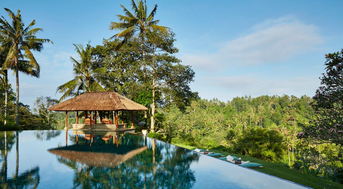 Total Management tweet media