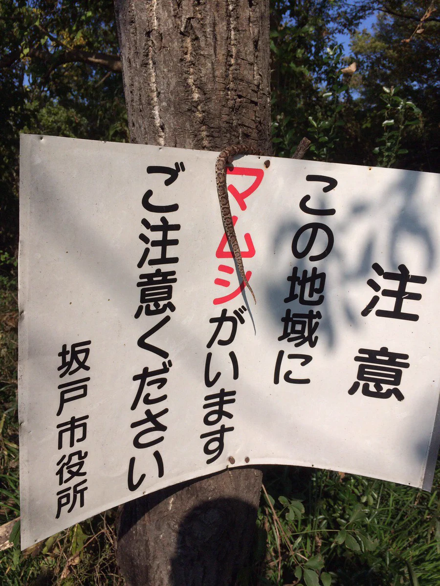 でしょうね！説得力がすごすぎる看板が発見される