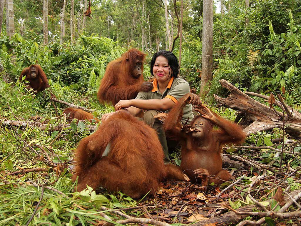 ramblingsloa's tweet photo. Thank you all for your best wishes while I was away in Borneo.
I would like to give huge credit to all the amazing people I met who are doing wonderful conservation work rescuing the rainforest and all it’s wonderful inhabitants from the palm oil and timber companies. https://t.co/WAuPyjPYvL