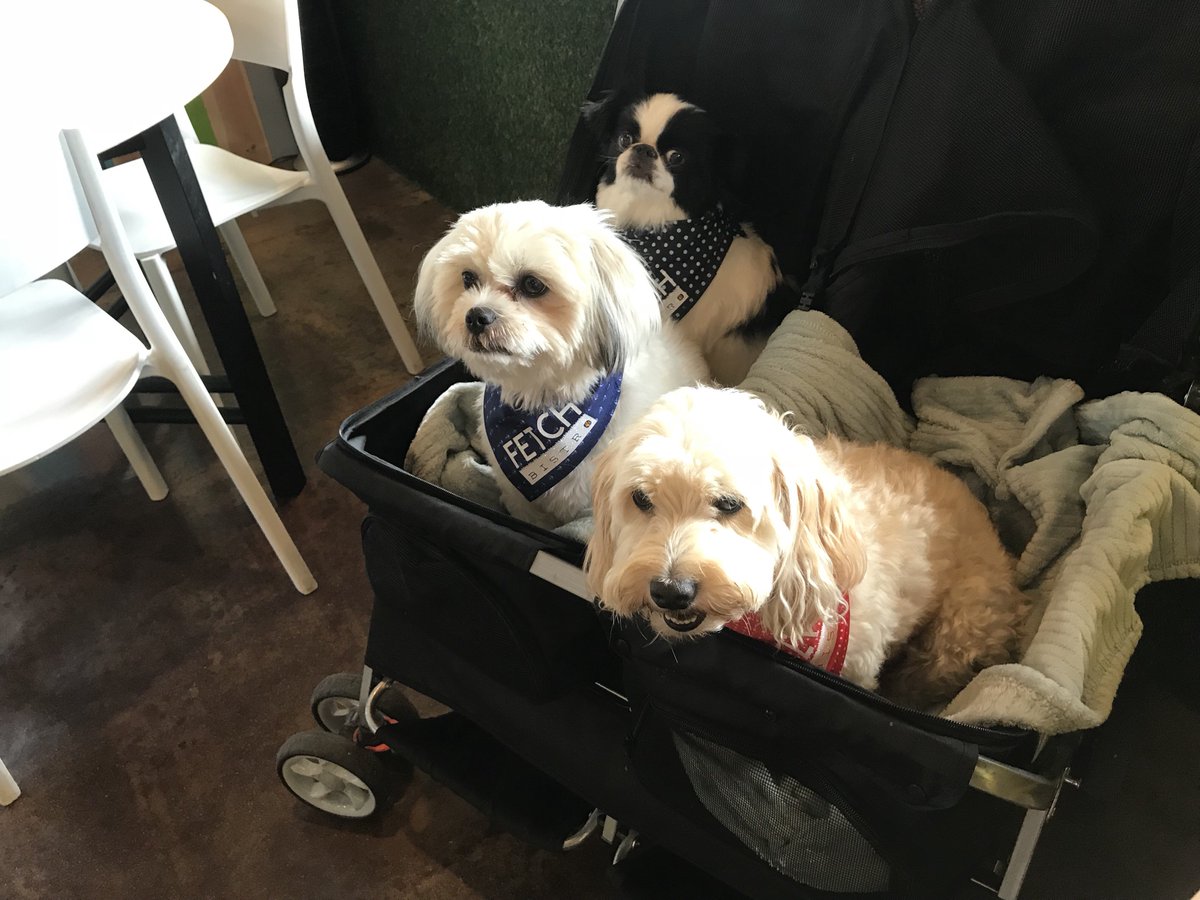FetchBistro's tweet photo. Sporting their Fetch Bandanas and loving Labor Day at Fetch!!!  COME ON IN AND DONE TILL 9!! https://t.co/MDEmerNSCM
