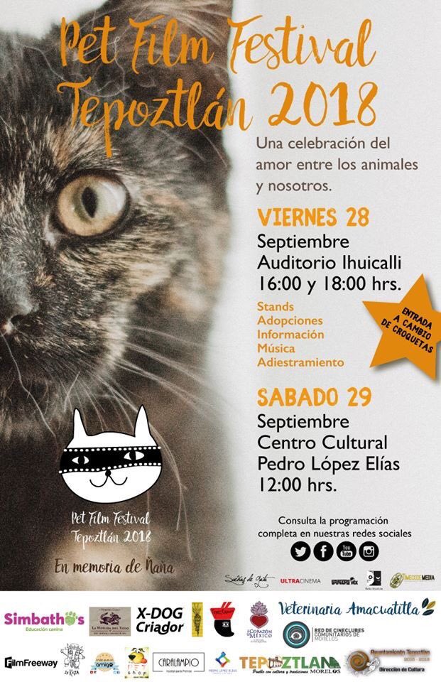 RTvMorelos's tweet photo. 🕔17:00h. 📻| #Hoy en el #Homosampler con Paco López, nos visita Michel Ramos, organizador del #PetFestivalTepoztlán 2018, para contarnos los detalles de esta celebración. 🐶🐱
📻102.9, 100.5, 90.9FM y 1390AM
🌐https://t.co/BlIVtfeki4 https://t.co/aV8goZHBMB