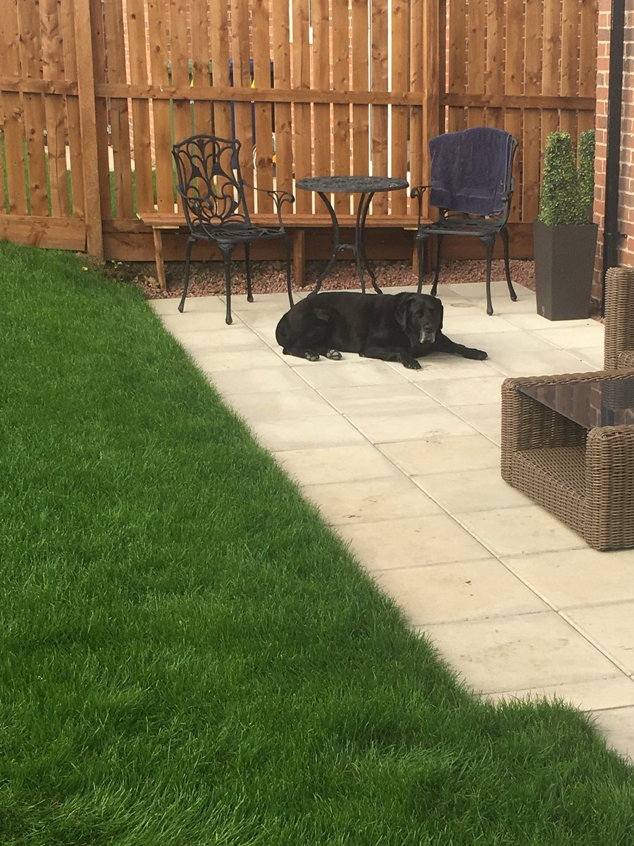 WearBuilders's tweet photo. A flat concrete base dug into the garden for the new shed, and an extended patio for Jake to chill out on.
We think he’s happy.
#WearBuilding #patio #building https://t.co/kB4a7FhQmJ