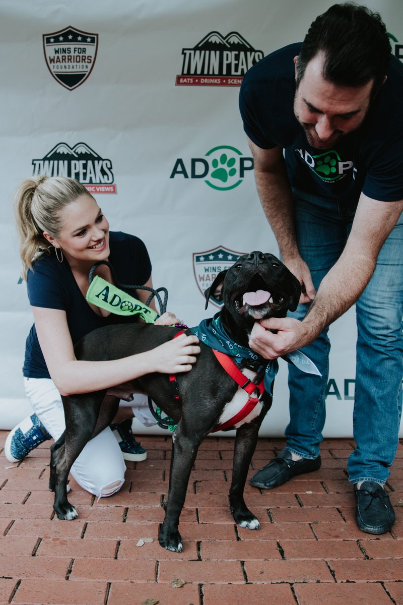 Loved hosting the 4th Annual Grand Slam Adoption Event w/ @justinverlander! We met the most amazing dogs and hope every single one find loving homes! If you couldn’t make it, you can donate or bid at the online silent auction, check it out! Link in bio. #GrandSlamAdoption