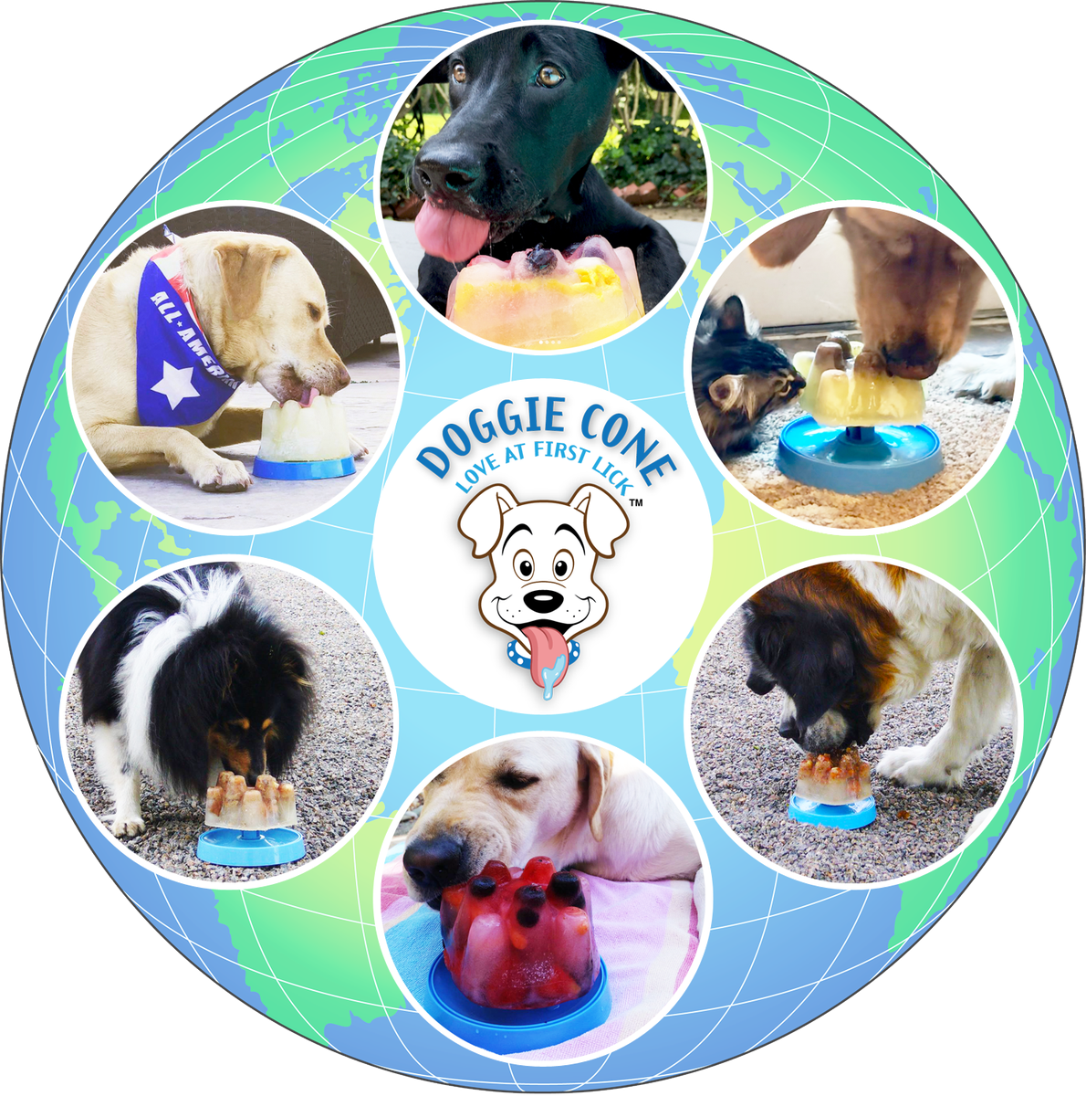 DoggieCone's tweet photo. Check it off your dog's bucket list - Get 20% Off today using coupon code '20%DCSALE!' https://t.co/kNi8MmXW1m 
Also on Amazon (5 Stars): https://t.co/McfG3Xult6  #dogsoftwitter #puppytraining #DogTraining #dogtreats #doggiecone https://t.co/zwg9TOUPBU