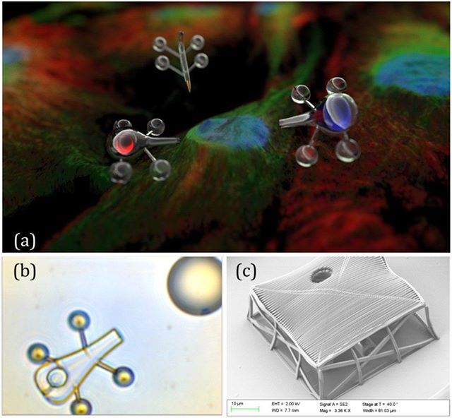 3dheals's tweet photo. Two-photon polymerization produces 3D printed microrobots @3DPrint_com #3Dprinting #Robotics #technology #two_photon #polymerization #microbots #healthcare #JoinTheTribe https://t.co/BT0hSbN3W4 https://t.co/phmcqOAm9l https://t.co/cfxFSbCcq6