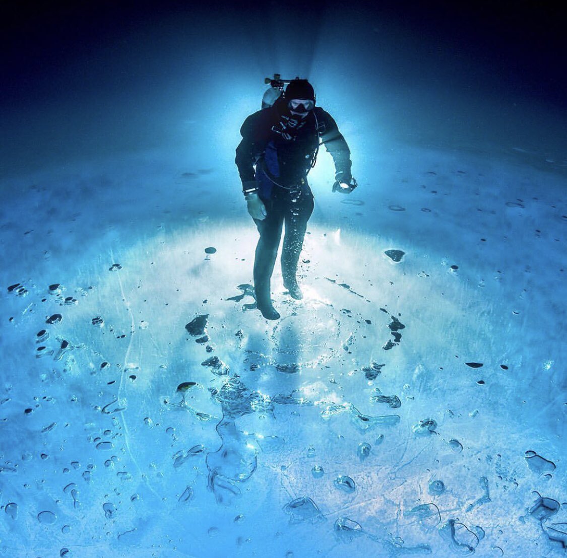 ScubaDiveLDN's tweet photo. If you have heard the saying: Scuba diving is like being on the moon? Well its kinda true 🌚

📷: @ martin.strmiska (IG)

#ScubaDiveLondon #ScubaDive #Scuba #PADI #UKDiving #Ocean #UnderWater #DiveLife #Nature #SeaLife #ProjectAware #UnderwaterPhotography #MarineLife #UnderTheSea https://t.co/kq2eoOE9L4