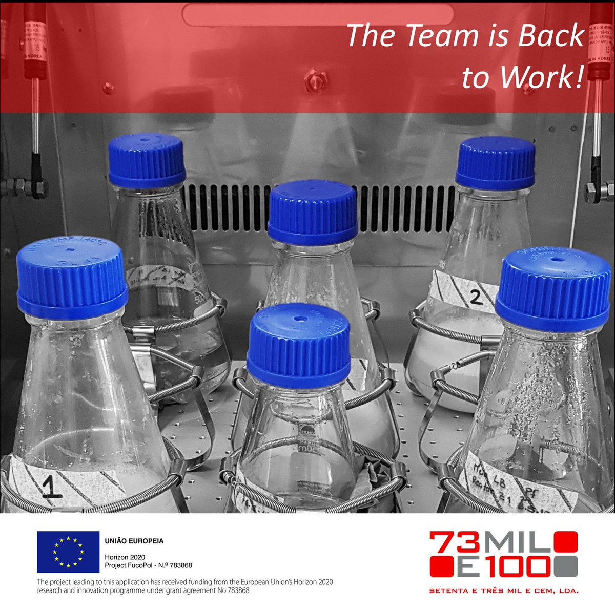 fucopol's tweet photo. 👩‍🔬🔬#BackToWork #FucoPol #fucose #H2020 @EU_H2020 https://t.co/h3yz5YLn9F