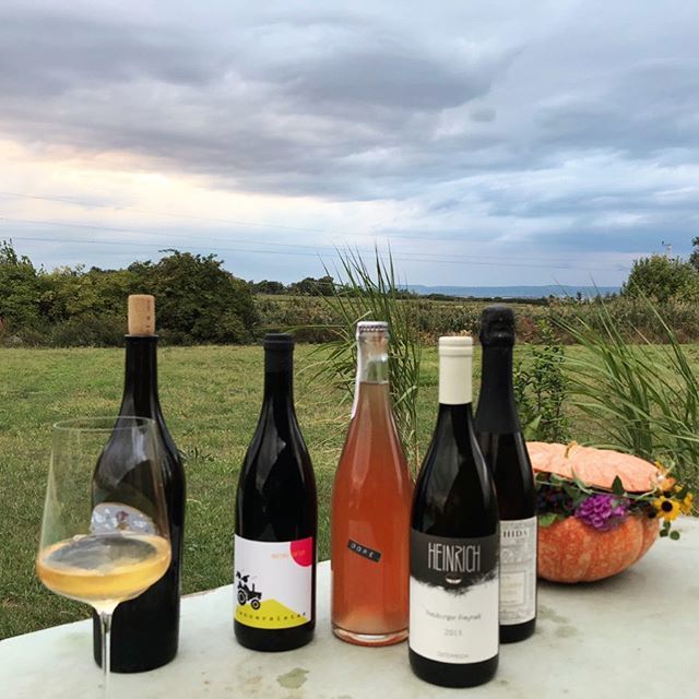 NeusiedlerSea's tweet photo. We had a great time today 🧡 and are enjoying the rest of the evening with our favourite biodynamic friends from the region. Drop by our shop if you are around Neusiedler See and have a glass with us 🍷😊
.
#blumenthell #conceptstore #weidenamsee #neusi… https://t.co/3wqDGcZXF2 https://t.co/sRXCF5tbft