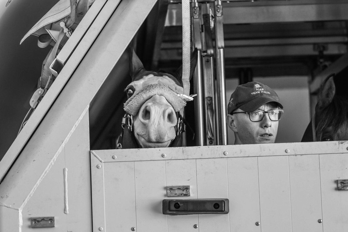 FEI_Global's tweet photo. ✈️ 23 flights
🐴 500 horses 
🌏 From 70 countries

The largest commercial airlift of horses ever undertaken in the history of horse sport is underway ahead of #Tryon2018!

More about this epic journey 👉https://t.co/HIPfFq6YwZ

📸 FEI / Tori Repole https://t.co/OFVnzAYFSJ