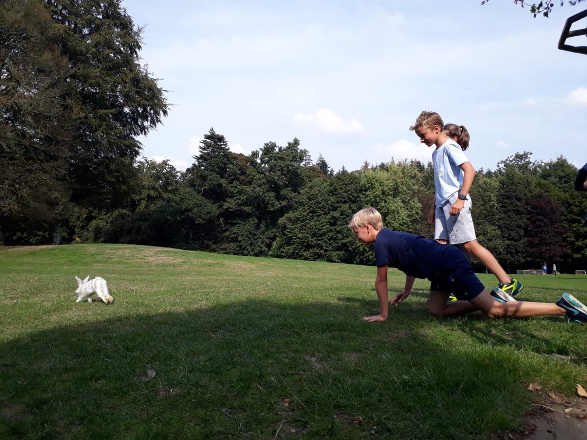 Les animaux du Château #NWSChateau2018 #NWSnlRemove #NWSnlFrench