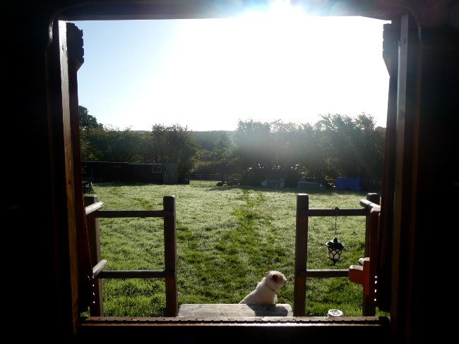 Autumnal Weekend Special at Crann Og Eco Farm!

Accommodation and Activity Packages 21st - 23rd/24th September.

Book a stay in one of our Yurts or Cabins and join us for our Forest School, Wild Food Forage, Nature Therapy Walk.

To book email us at - info@ecostayireland.com