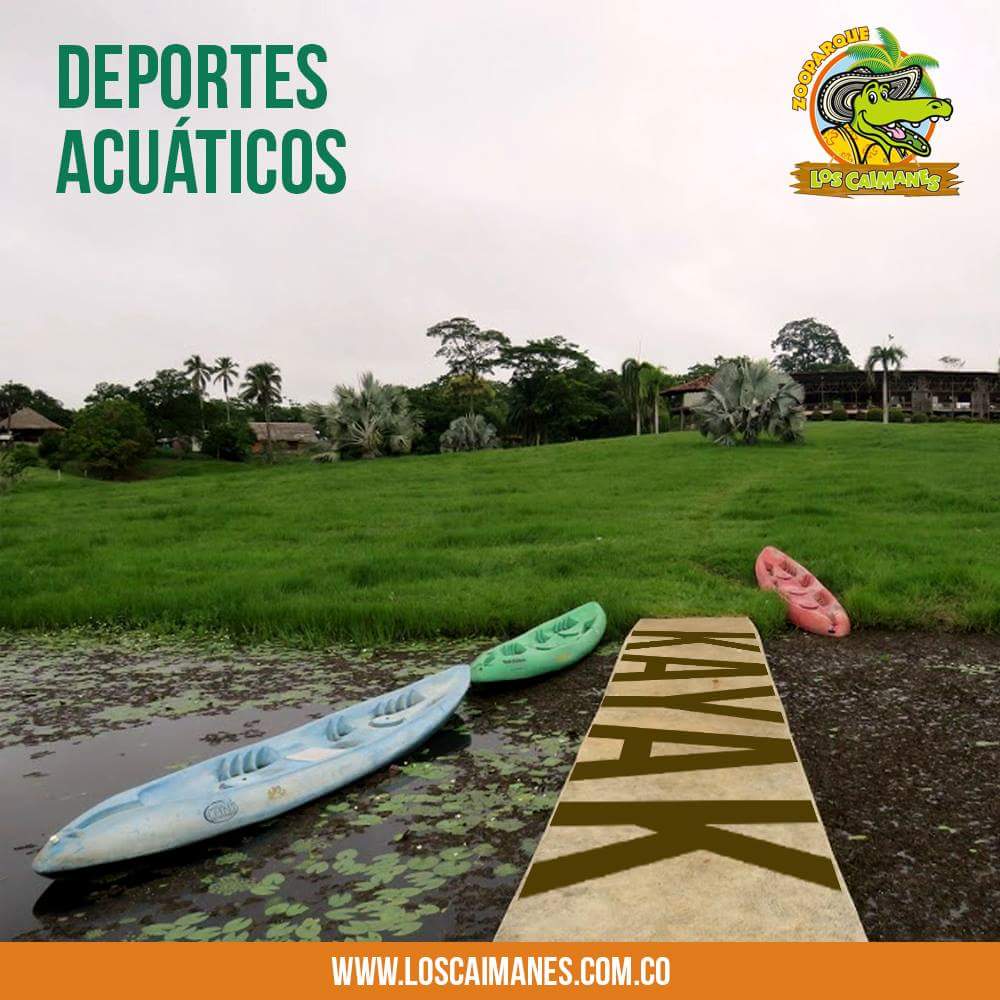 ZooLosCaimanes's tweet photo. Nuestro #Lago es el lugar ideal para disfrutar de actividades y deportes acuáticos. ¡Te esperamos! #ZooparqueLosCaimanes https://t.co/Mru1lSy96I https://t.co/ccEyYd8Rz1
