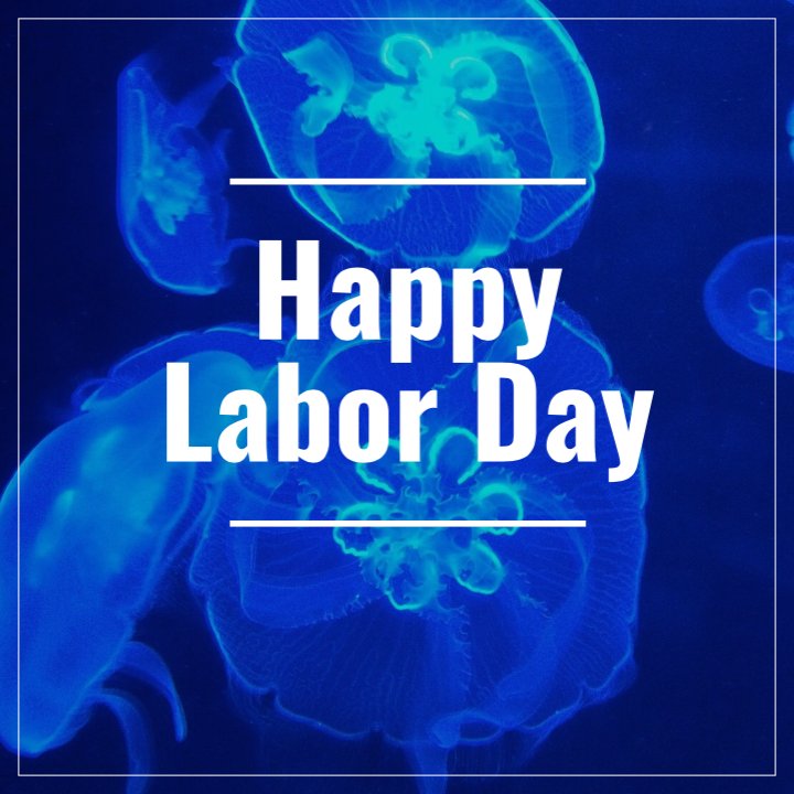 IGSMIAMI's tweet photo. Happy Labor Day to all our customers, we hope you enjoy the day with family and friends.
.
.
.
#laborday #miami #homedecor #happycustomer #aquarium #fishtank https://t.co/4pByeS15oG