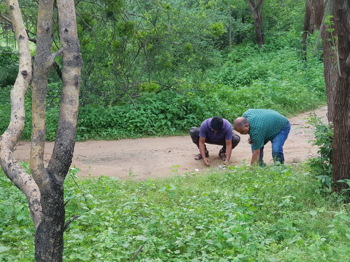 BittuSahgal's tweet photo. The incredible Sudarshan, Rajasthan Forest Department, now posted to Jhalana, Jaipur from Ranthambhore... picking up glass pieces so no leopard paws get accidentally sounded. @anishandheria @prernabindra https://t.co/4Q1vEy3AN4
