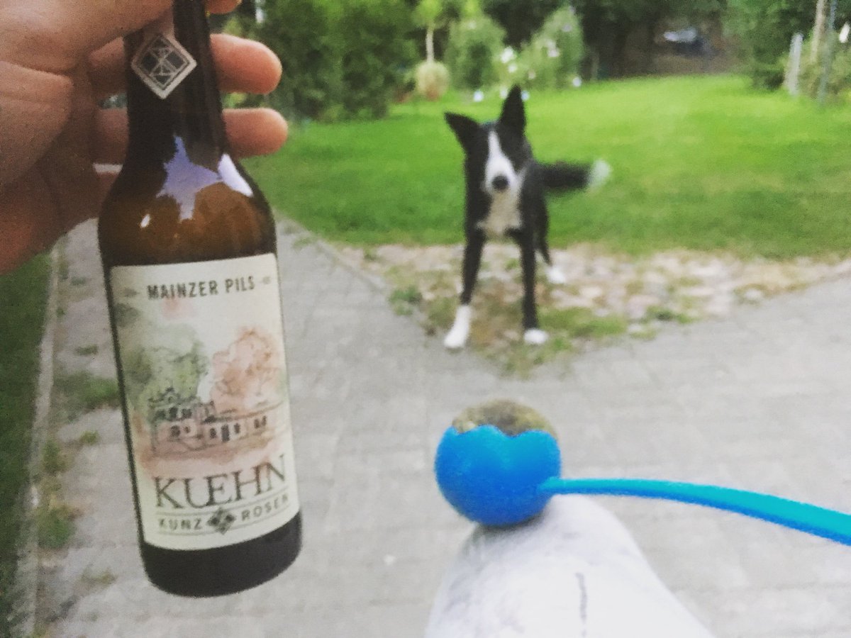 gummibierchen's tweet photo. 3Bs für’n gepflegten Feierabend,#Bello, #ballschleuder &#Bierchen mit #Mainzerpils @kuehnkunzrosen🍺#kühnkunzrosen #kuehnkunzrosen #germanbeers #germanbeer #germancraftbeer #beerinmyhand #Bierzeit #bierhund #altmark #altmarkleben #hundeleben #hundetraining #beertime #craftbeer https://t.co/LnUTdOli6D