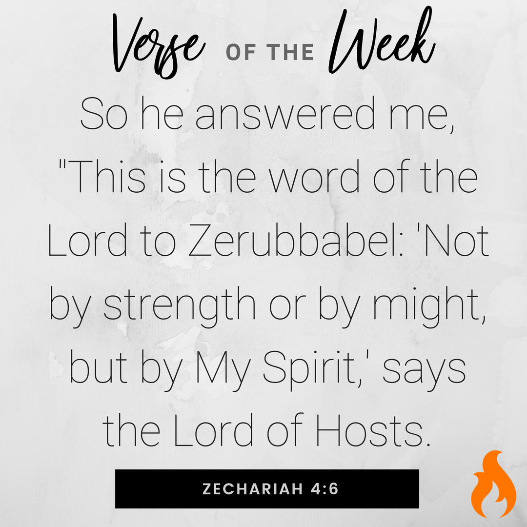 nsu_bcm's tweet photo. Here’s this week’s Verse of the Week! #votw #freshmesh https://t.co/eAP2ulvR2E