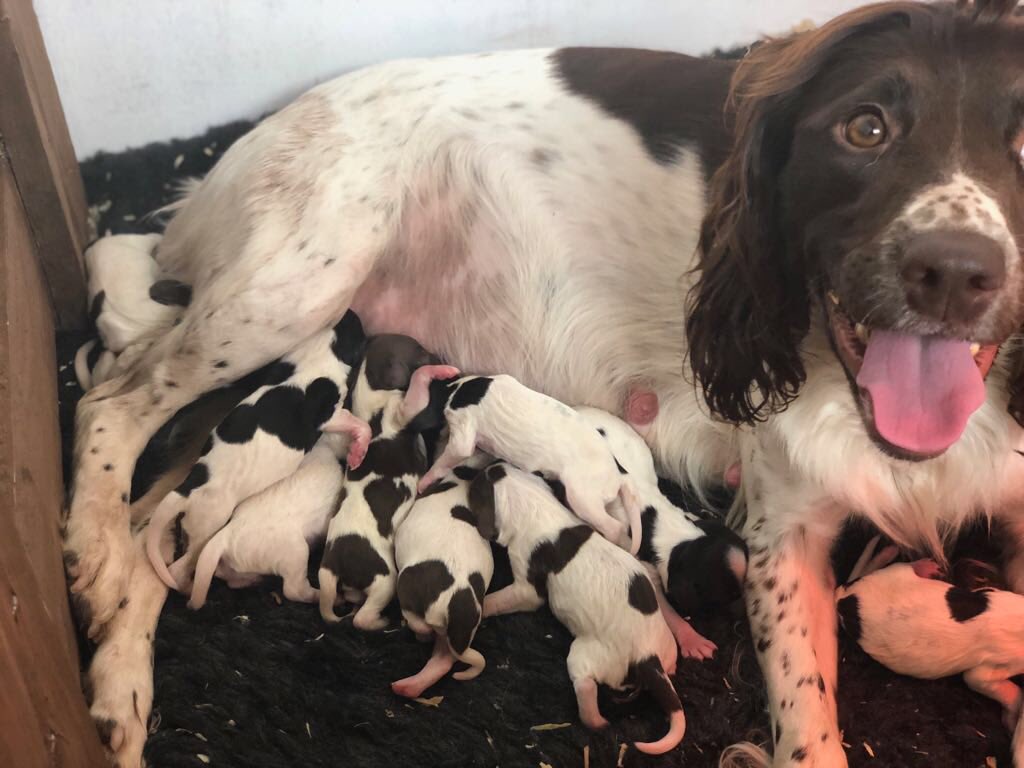 JessChadwickx's tweet photo. so precious 😭😭😭 https://t.co/lsR3dlDXCI