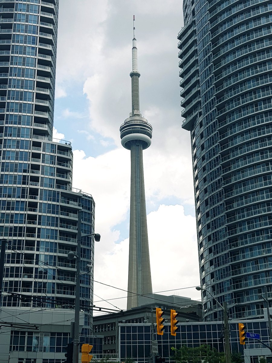 LClinton87's tweet photo. Hello Toronto, we are back and delighted to welcome 8 new Canadian organistions onboard.
Looking forward to meeting you again and to empowering independence w/ @availsupport.
Excited for the training and being part of your impact. #availindependence
@EI_HPSU https://t.co/s0KYUcOiCr