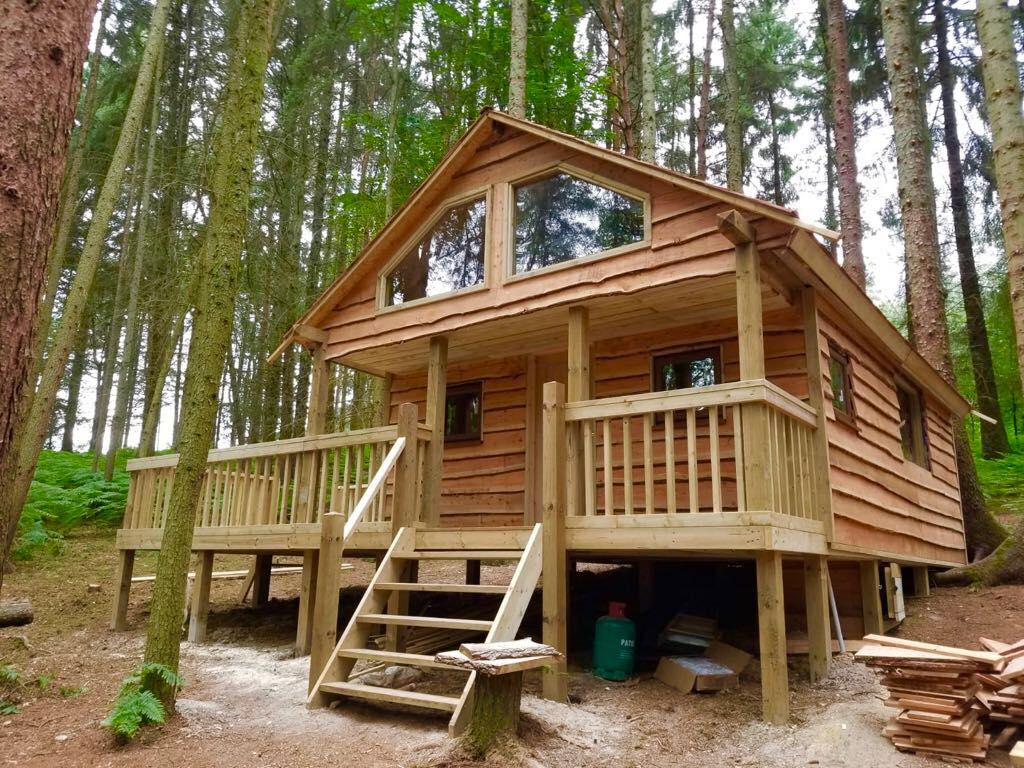 Mr Treehouse tweet media